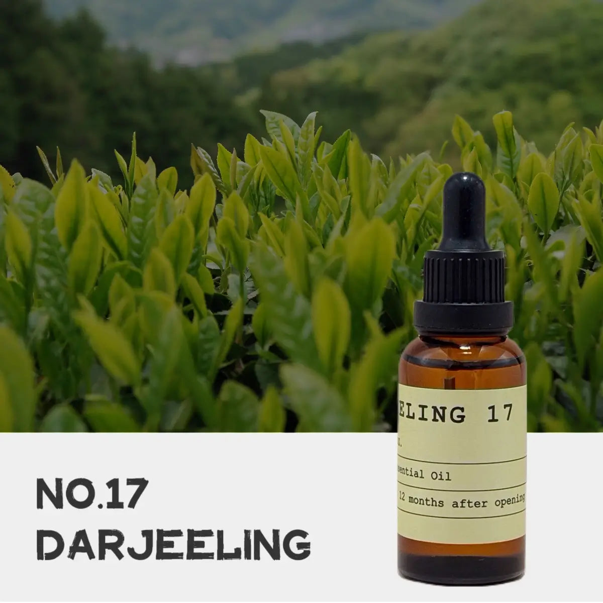 NO.17 DAJEELING Essential Oil