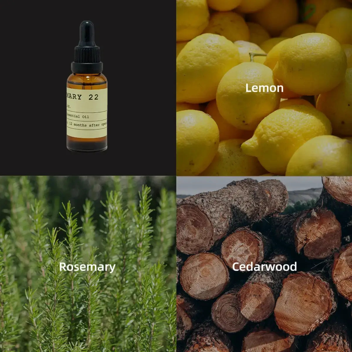 NO.22 ROSEMARY Essential Oil