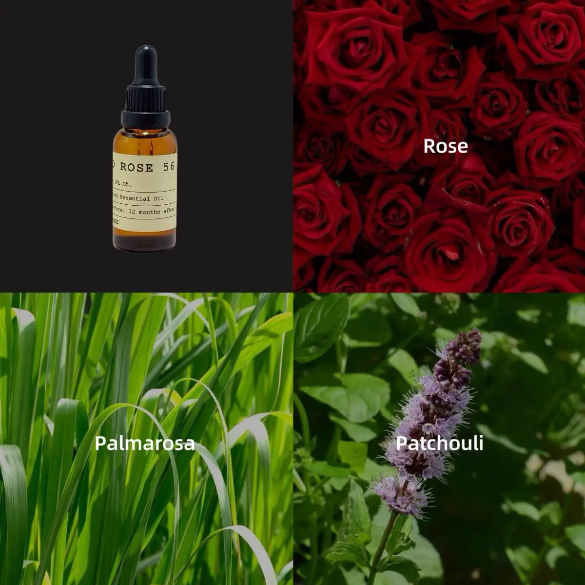 NO.56 RED ROSE Essential Oil