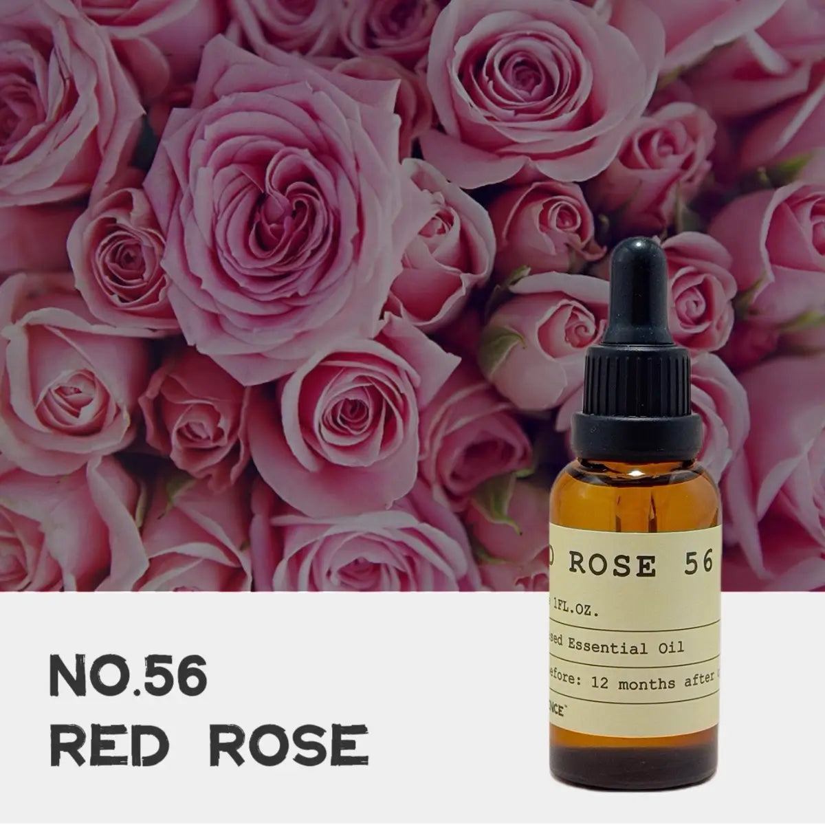 NO.56 RED ROSE  Essential Oil