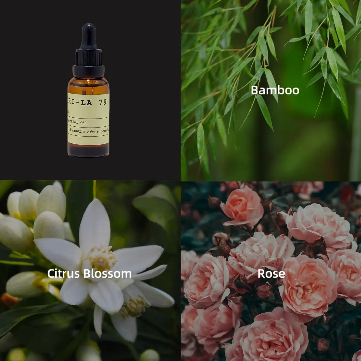 NO.79 SHANGRI-LA Essential Oil