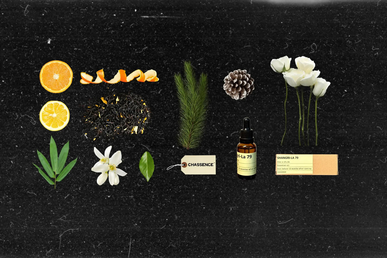 CHASSENCE Essential Oils For Diffuser